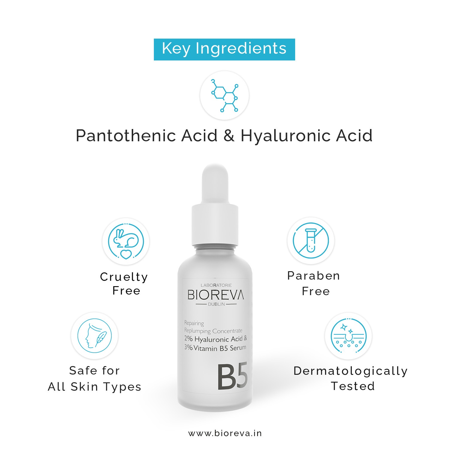 Key Ingredients of Vitamin B5